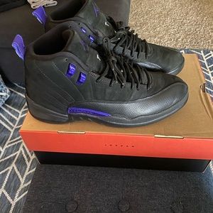 Jordan 12 dark concord
